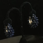 Load image into Gallery viewer, Shimmering Bead Earrings
